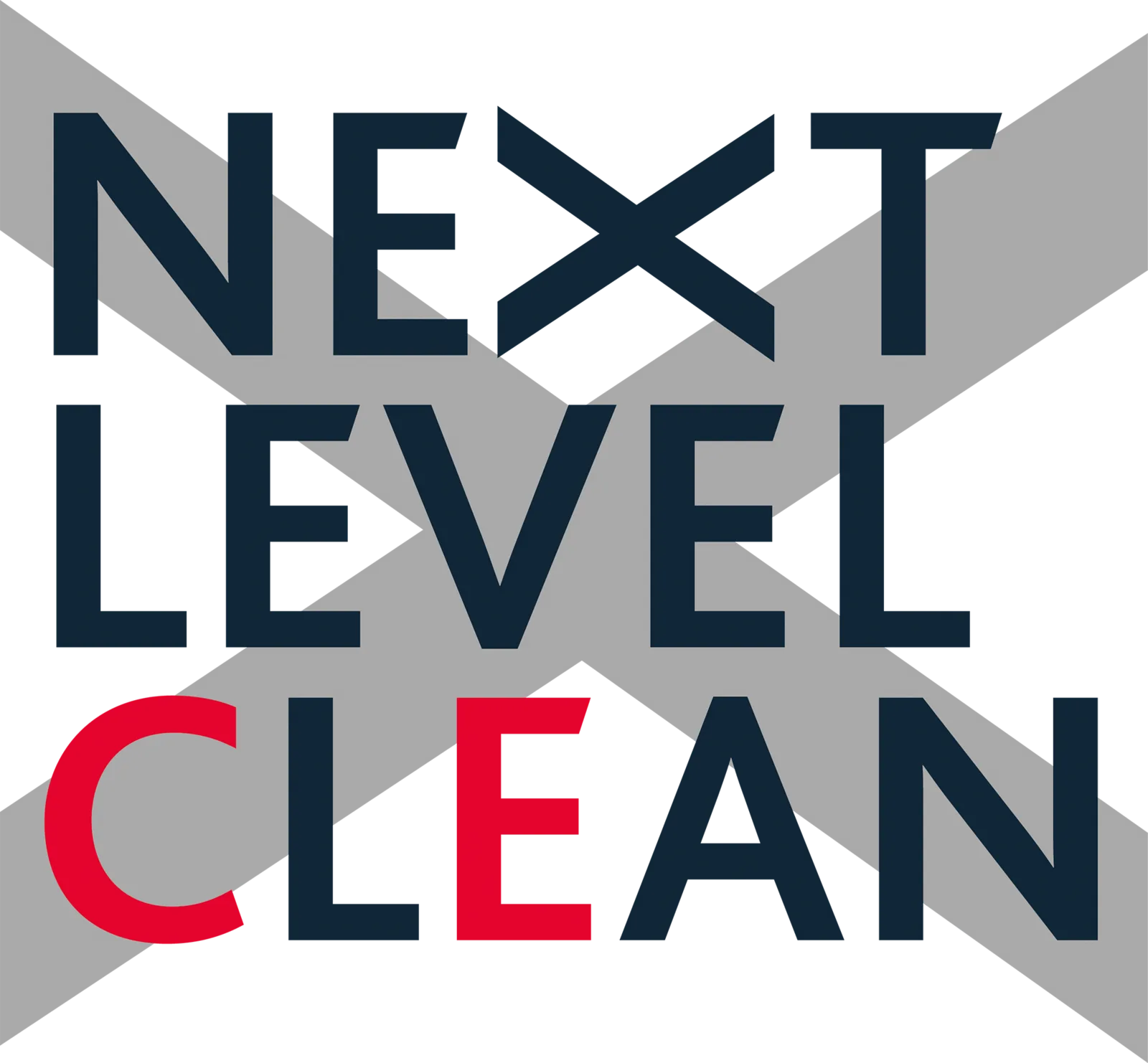 Next Level Clean